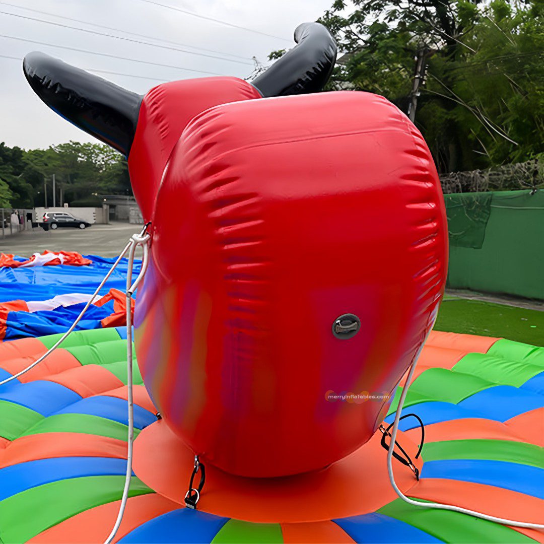 Bull rides 1