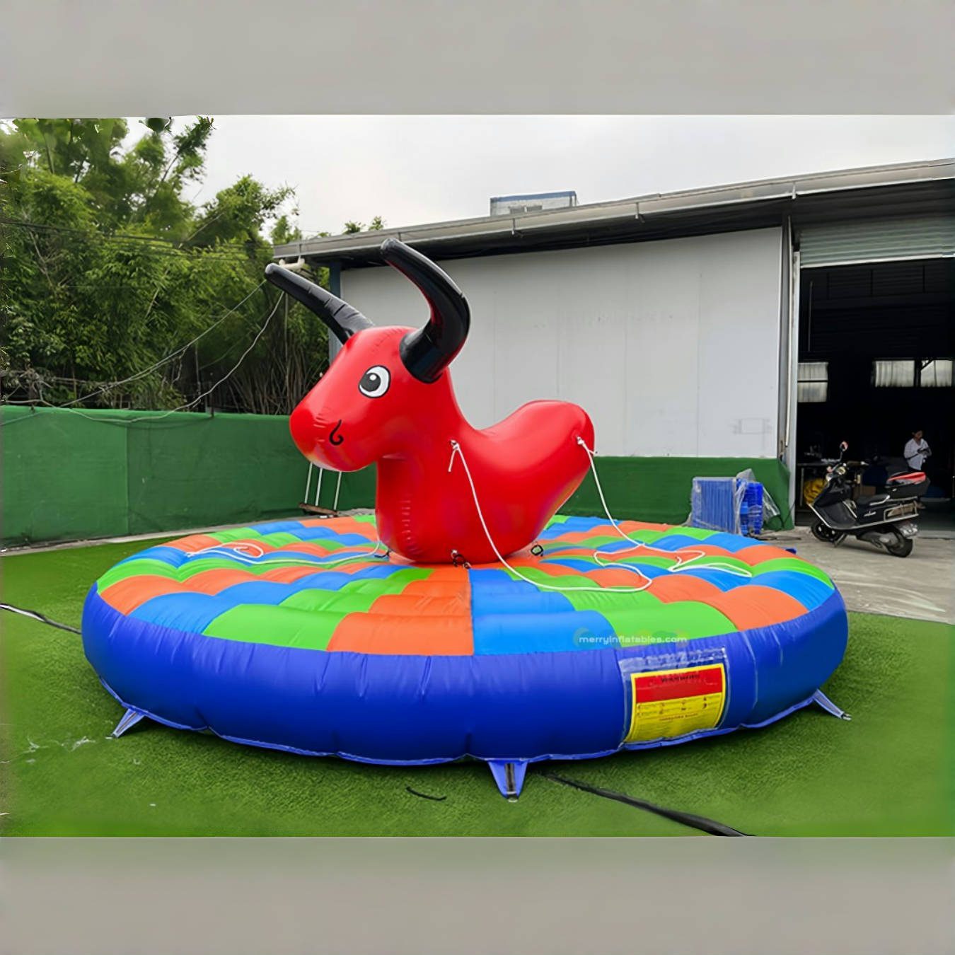 Bull rides 2_副本
