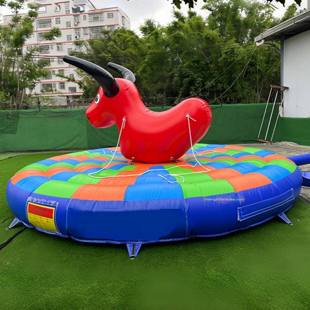 Bull rides 3_副本