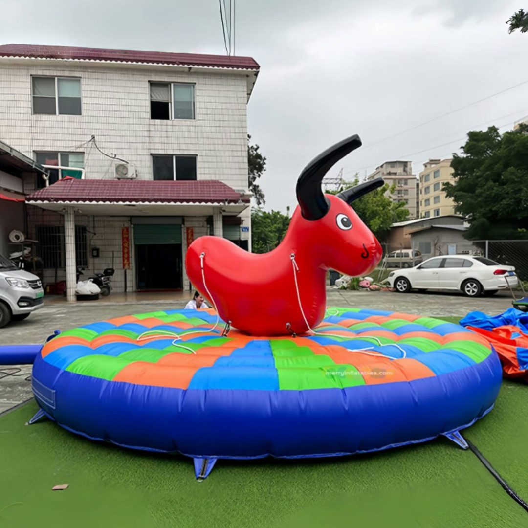 Bull rides 5_副本