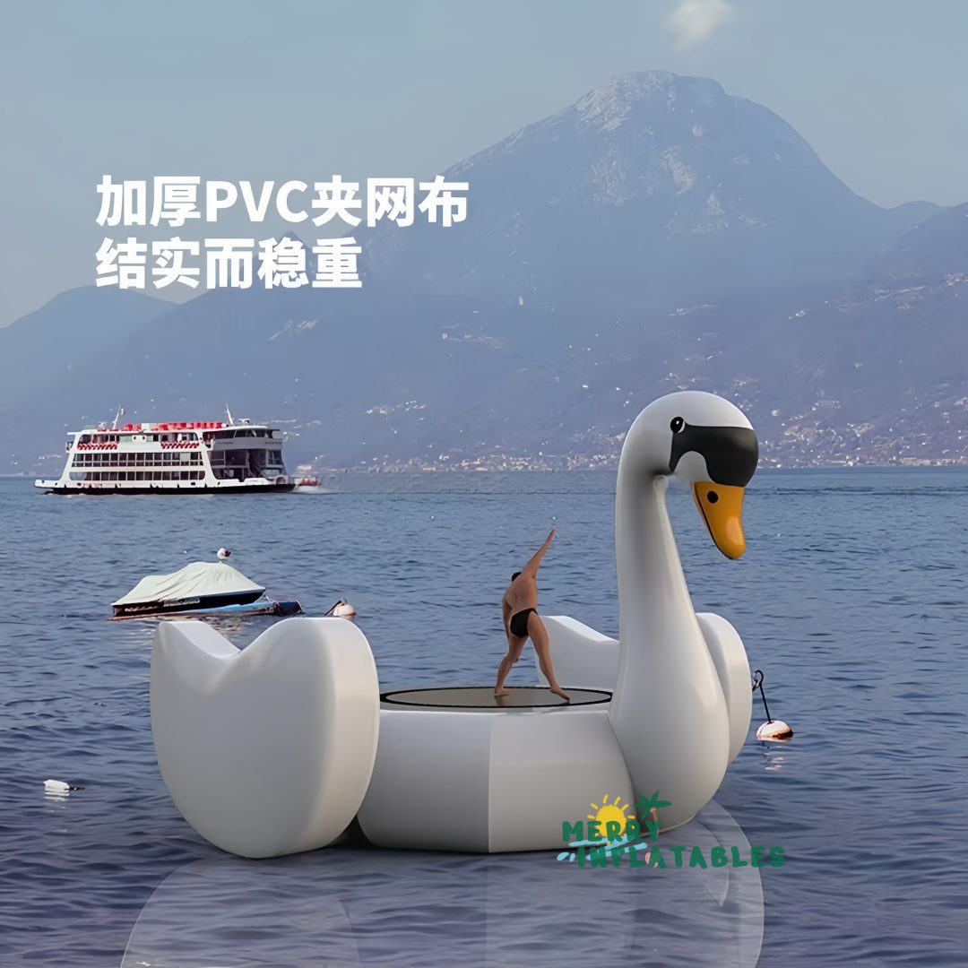 SWAN 2