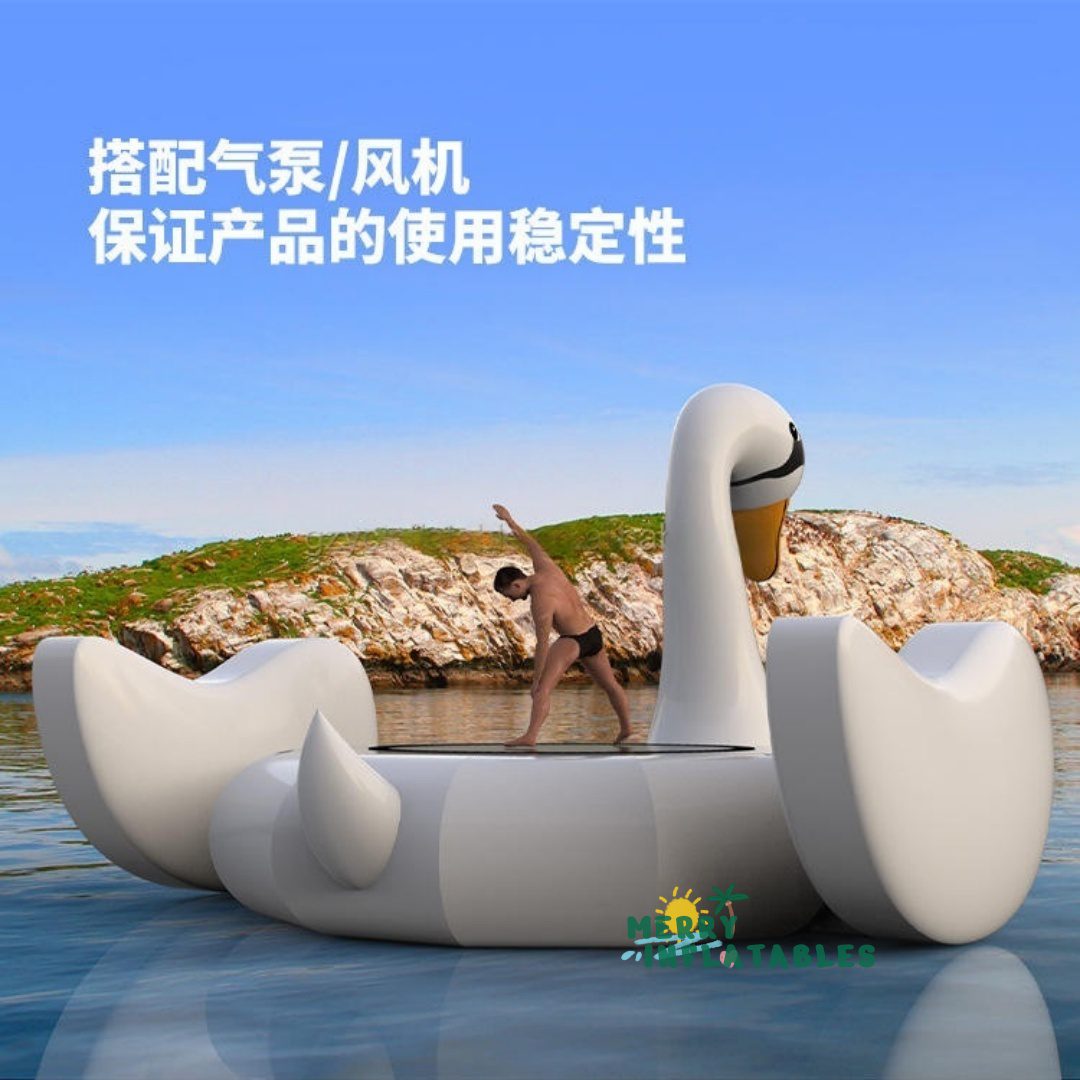 SWAN 3