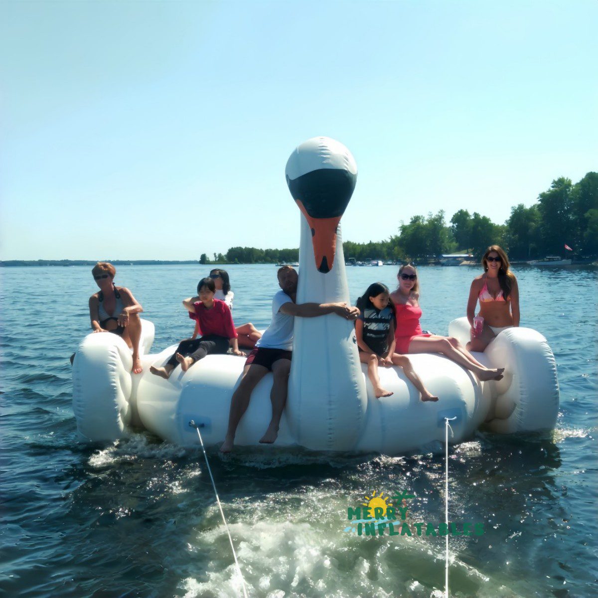 swan trampoline 3